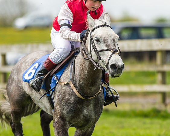 Pony Race 1 - 148cm [Open] Novice Riders-62