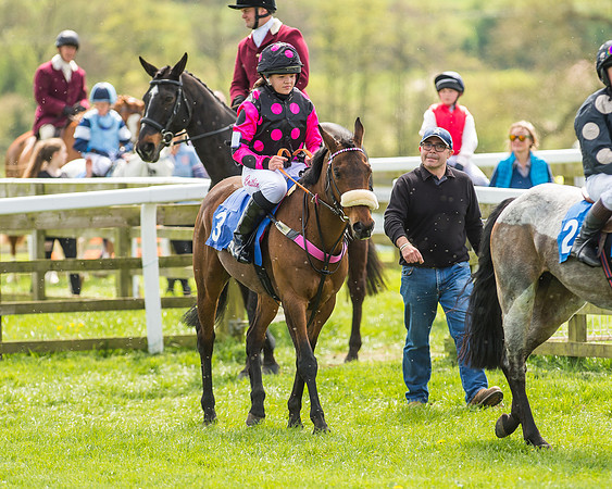 Pony Race 1 - 148cm [Open] Novice Riders-64