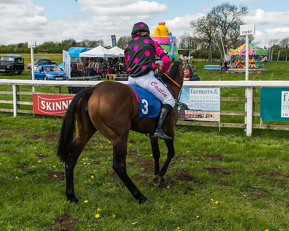 Pony Race 1 - 148cm [Open] Novice Riders-71