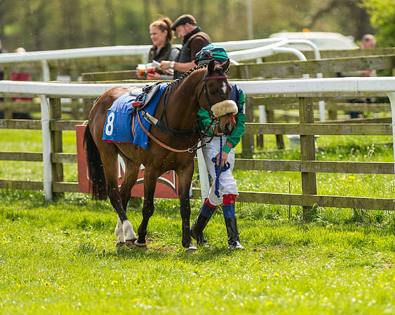 Pony Race 2 - 138cm -2