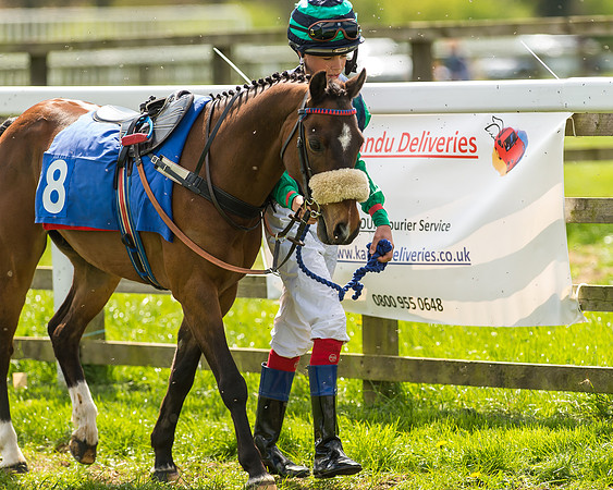 Pony Race 2 - 138cm -4