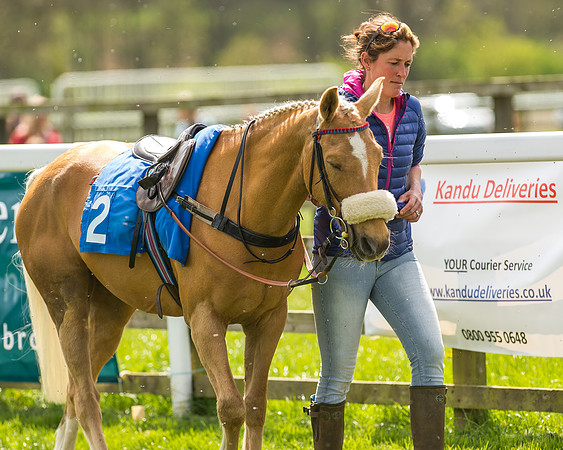 Pony Race 2 - 138cm -6