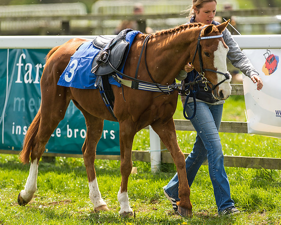 Pony Race 2 - 138cm -7