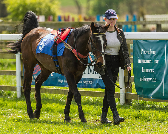 Pony Race 2 - 138cm -9