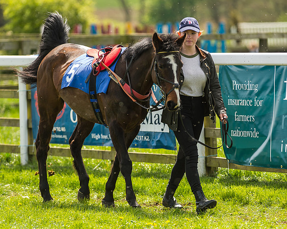 Pony Race 2 - 138cm -10