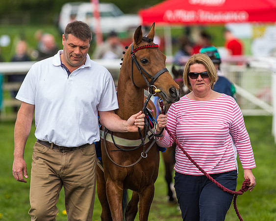 Pony Race 2 - 138cm -12