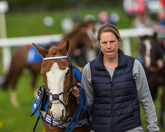 Pony Race 2 - 138cm -17