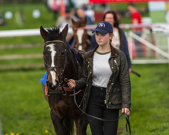 Pony Race 2 - 138cm -19