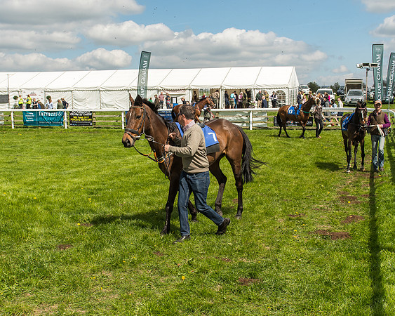 Pony Race 3 - 148cm -1