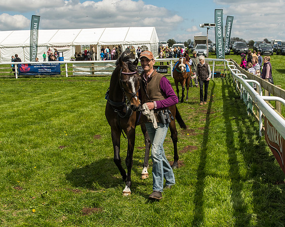 Pony Race 3 - 148cm -3
