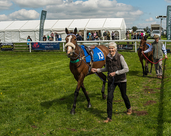 Pony Race 3 - 148cm -5