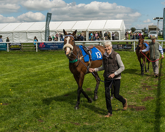 Pony Race 3 - 148cm -6
