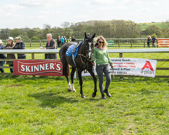 Pony Race 3 - 148cm -15