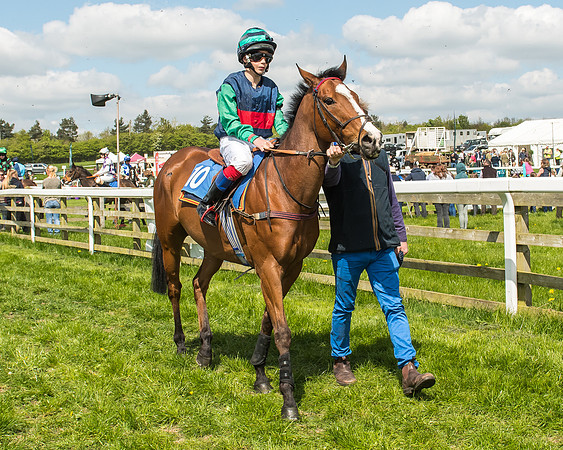 Pony Race 3 - 148cm -33