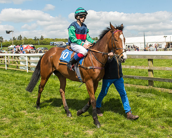 Pony Race 3 - 148cm -34