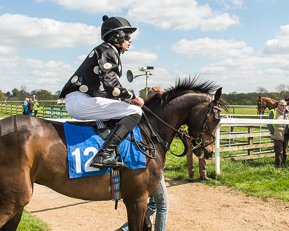 Pony Race 3 - 148cm -40