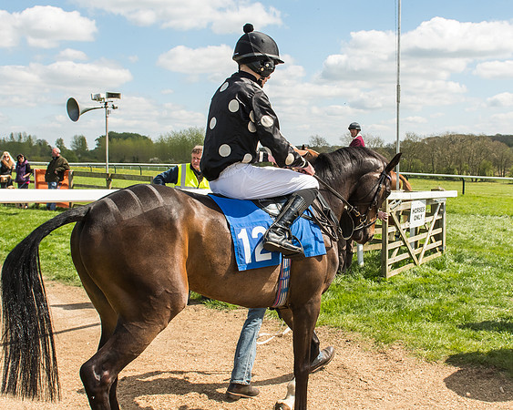 Pony Race 3 - 148cm -41
