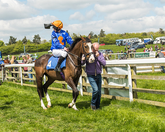 Pony Race 3 - 148cm -42