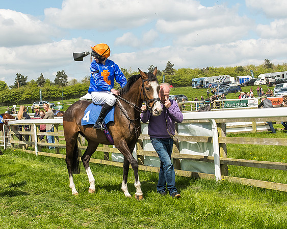 Pony Race 3 - 148cm -43
