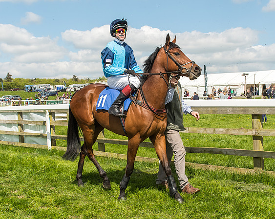 Pony Race 3 - 148cm -49