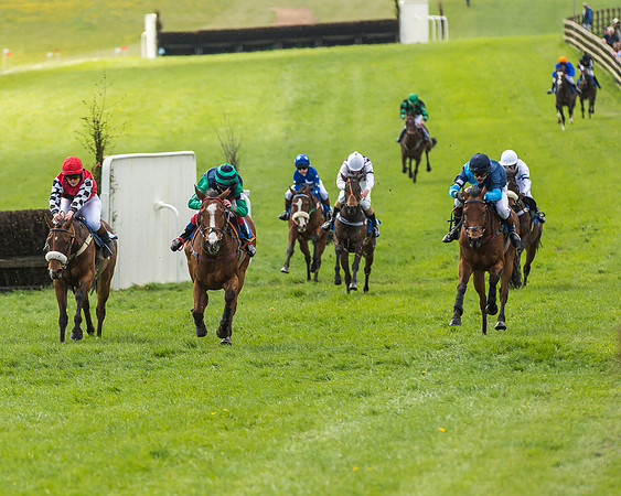 Pony Race 3 - 148cm -55