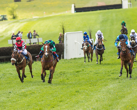 Pony Race 3 - 148cm -60