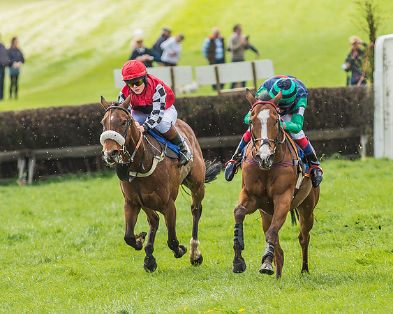 Pony Race 3 - 148cm -61