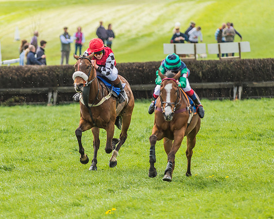 Pony Race 3 - 148cm -62