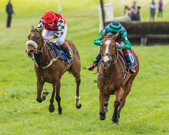 Pony Race 3 - 148cm -67