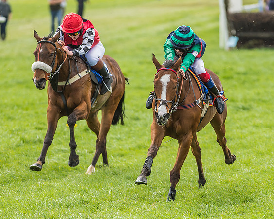 Pony Race 3 - 148cm -69