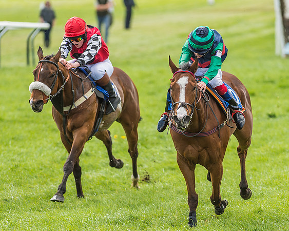 Pony Race 3 - 148cm -70