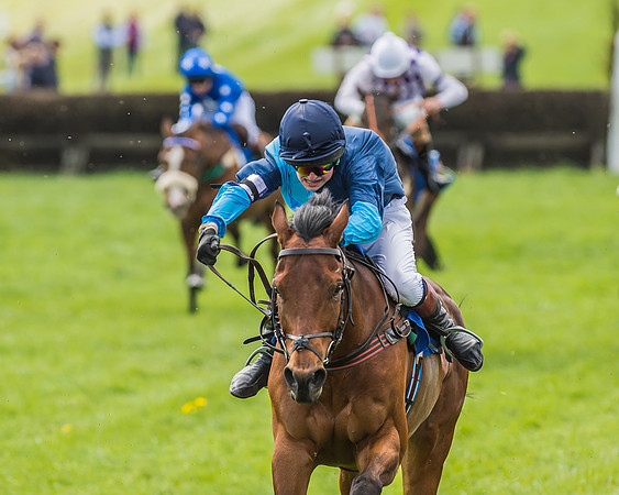 Pony Race 3 - 148cm -71