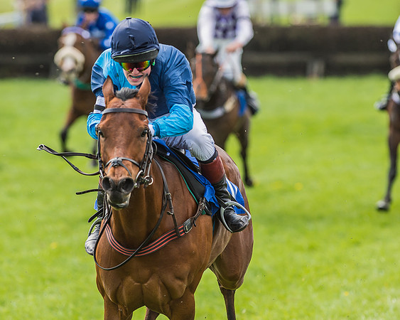 Pony Race 3 - 148cm -73