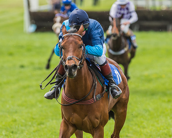 Pony Race 3 - 148cm -74