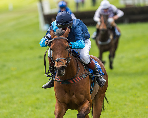 Pony Race 3 - 148cm -75