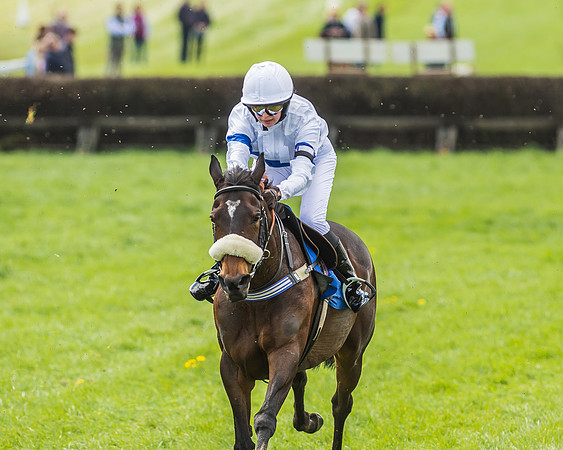Pony Race 3 - 148cm -77
