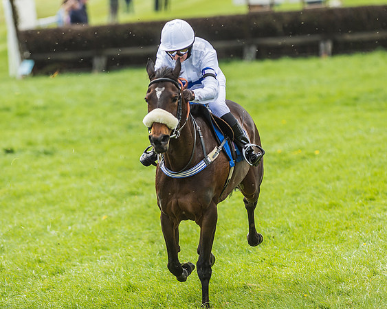 Pony Race 3 - 148cm -78