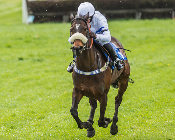 Pony Race 3 - 148cm -79