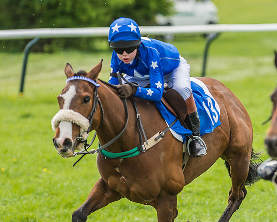 Pony Race 3 - 148cm -81