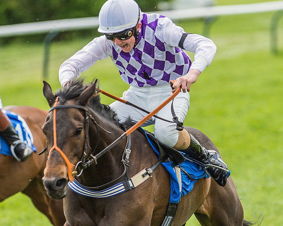 Pony Race 3 - 148cm -82