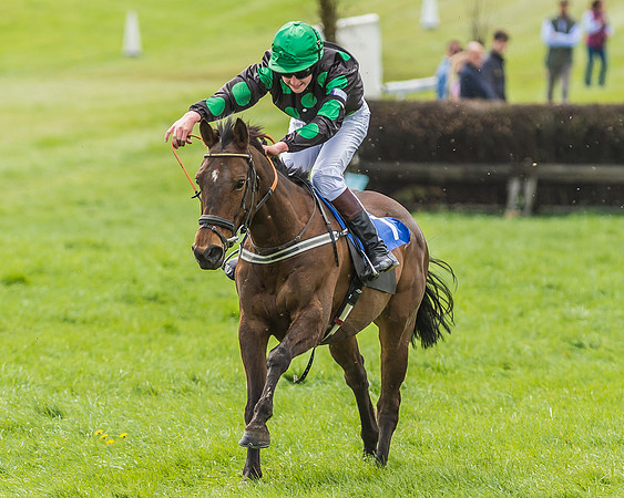 Pony Race 3 - 148cm -84