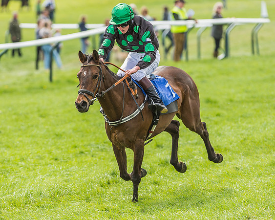 Pony Race 3 - 148cm -85