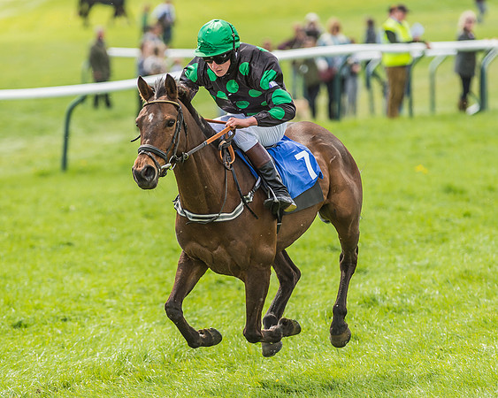 Pony Race 3 - 148cm -86