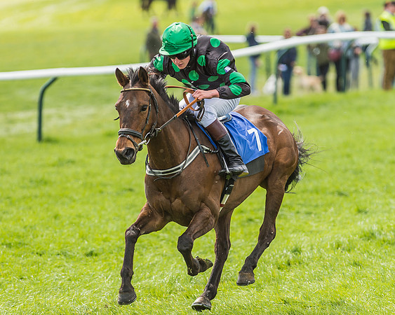 Pony Race 3 - 148cm -87