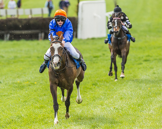 Pony Race 3 - 148cm -88