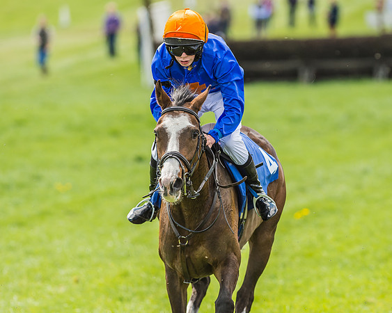 Pony Race 3 - 148cm -91