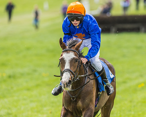 Pony Race 3 - 148cm -92