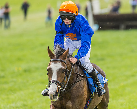 Pony Race 3 - 148cm -93