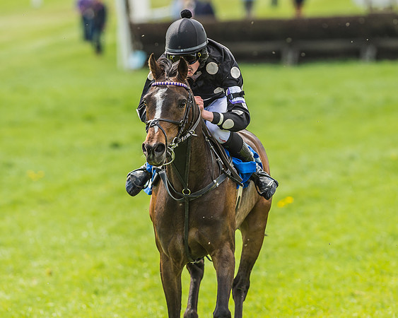 Pony Race 3 - 148cm -95