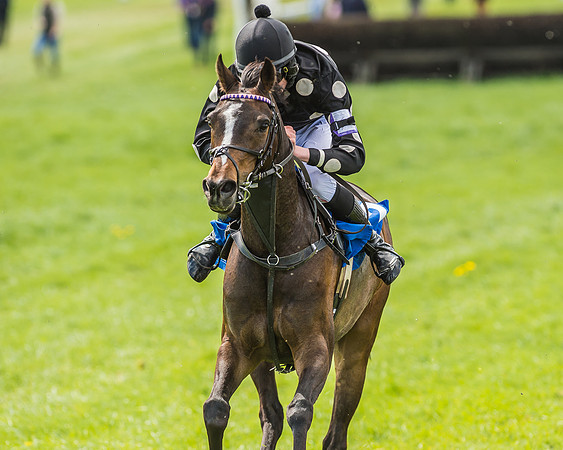 Pony Race 3 - 148cm -96
